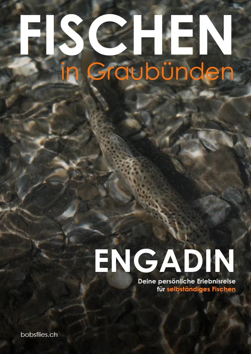Selbstfahrer Tour - 3 Tage Fliegenfischen im Engadin