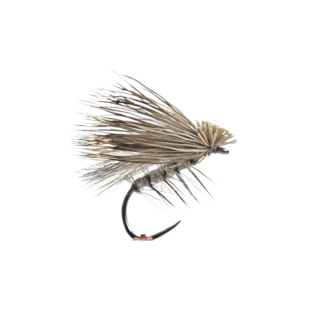 Dry fly | DF097 | #12